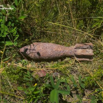 Поблизу приватного будинку на Вінниччині виявили мінометну міну часів Другої світової