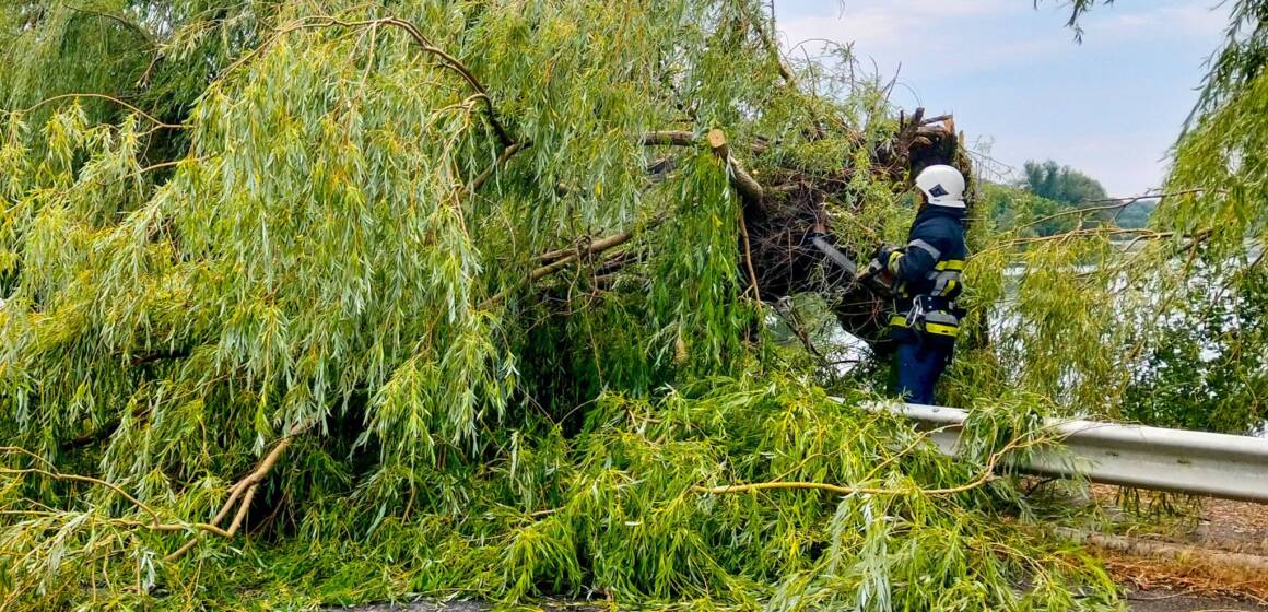 Негода на Вінниччині: вітер повалив дерева та зірвав дах будинку
