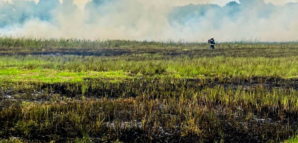 На Вінниччині за добу сталося 16 пожеж: вогонь знищив понад 4 гектари сухостою