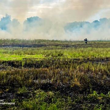 На Вінниччині за добу сталося 16 пожеж: вогонь знищив понад 4 гектари сухостою