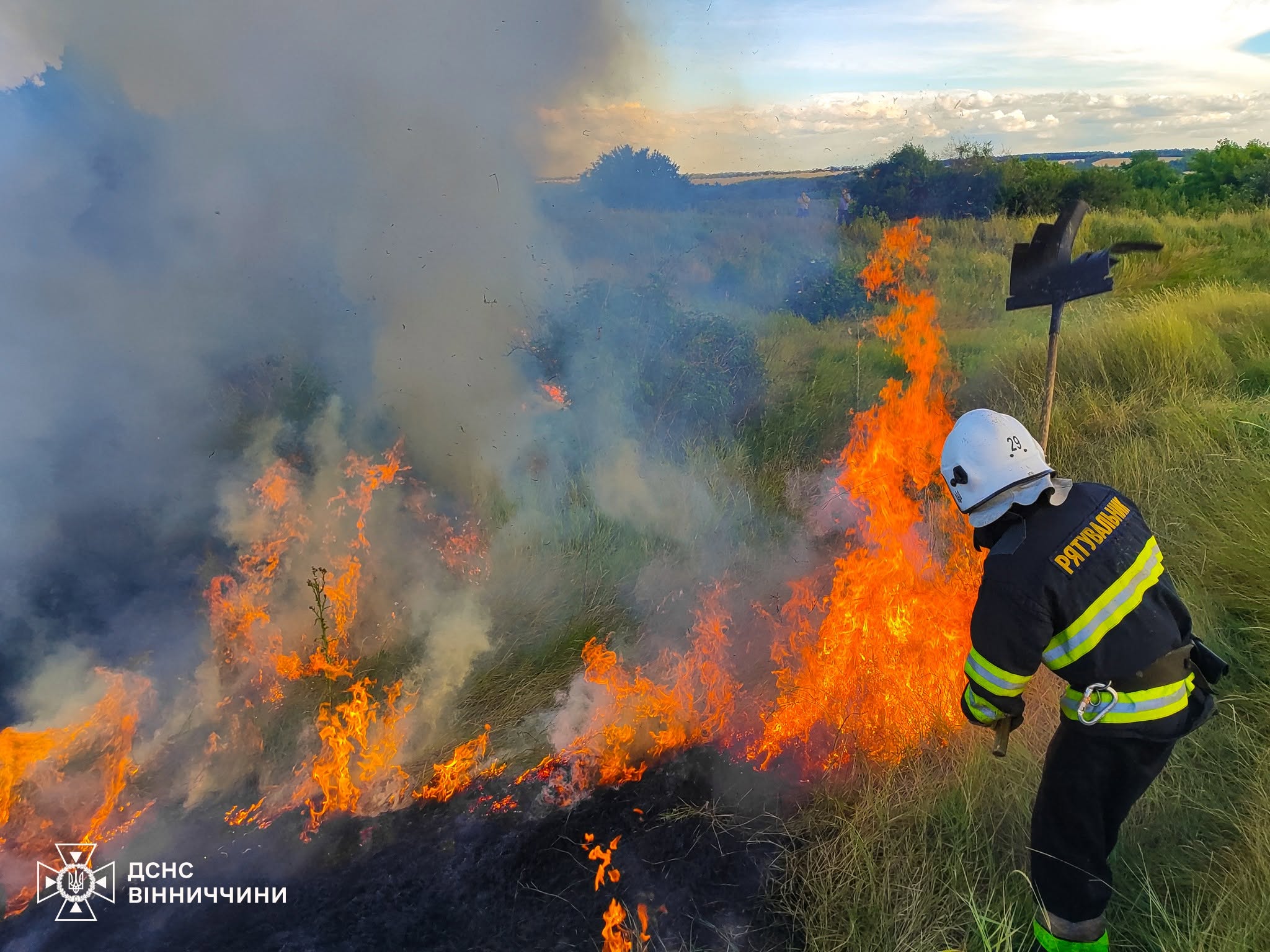 Вогонь спопелив понад 5 гектарів землі: за добу на Вінниччині ліквідували 10 пожеж