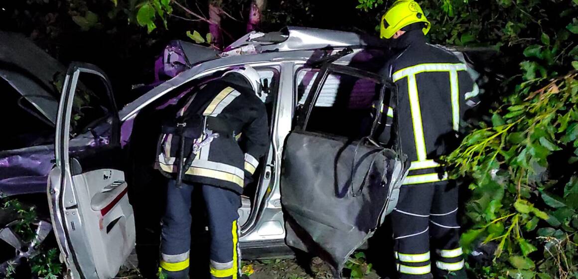 На Вінниччині автомобіль злетів у кювет і врізався в дерево: загинула пасажирка