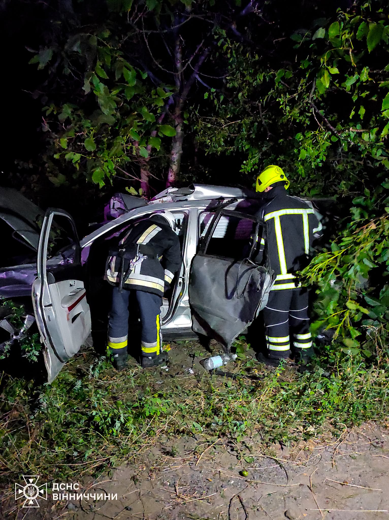 На Вінниччині автомобіль злетів у кювет і врізався в дерево: загинула пасажирка