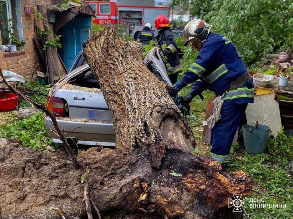 Негода на Вінниччині: дерева падали на дороги та автомобілі
