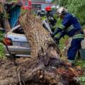 Негода на Вінниччині: дерева падали на дороги та автомобілі