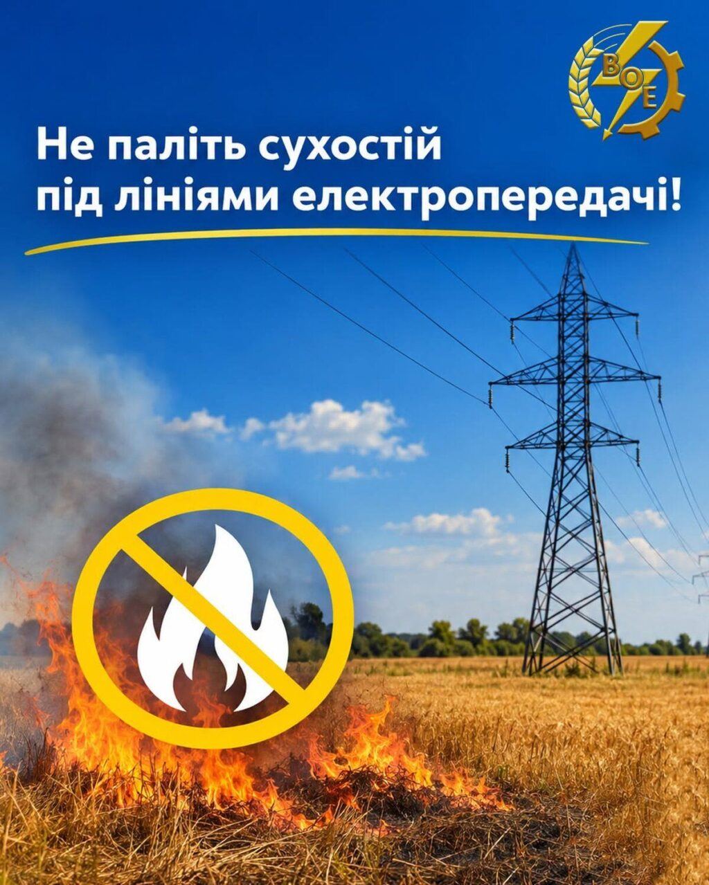 Знеструмлені села та знищені мережі: чому спалювання сухостою біля ЛЕП є загрозою для всієї Вінниччини