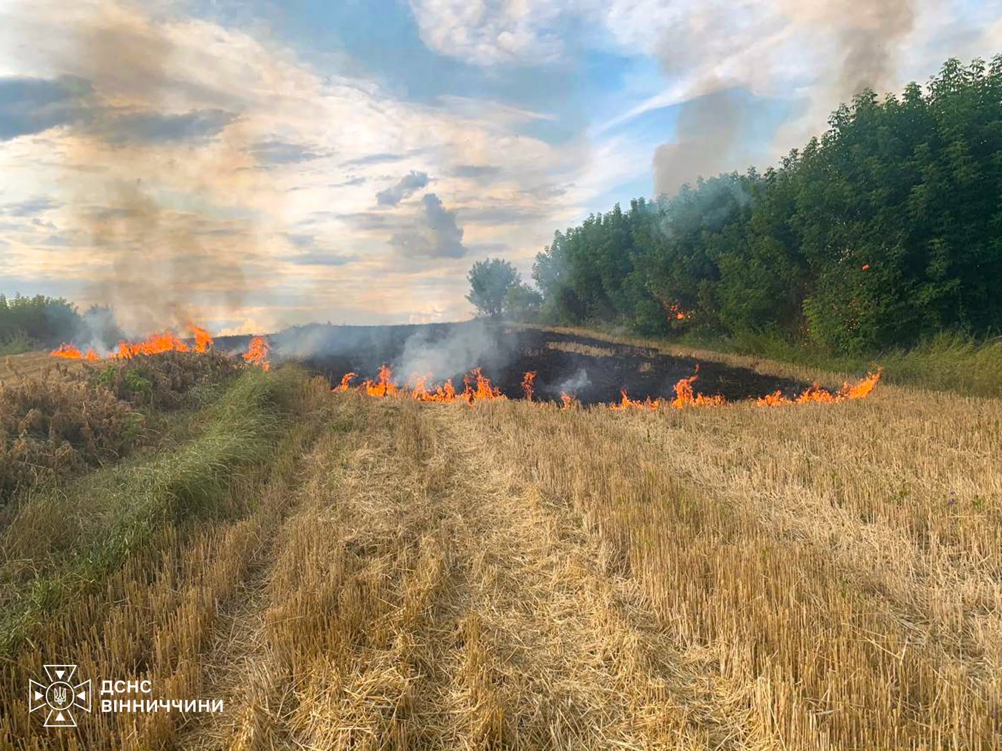6 пожеж за добу: на Вінниччині рятувальники ліквідовували наслідки коротких замикань та людської недбалості