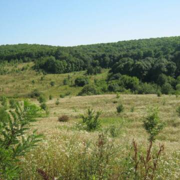 L.-Markivska.-Natsionalnyy-pryrodnyy-park-Karmeliukove-Podillia-1 Захист заповідних земель: на Гайсинщині прокурори повернули державі 23 га території Національного парку «Кармелюкове Поділля»