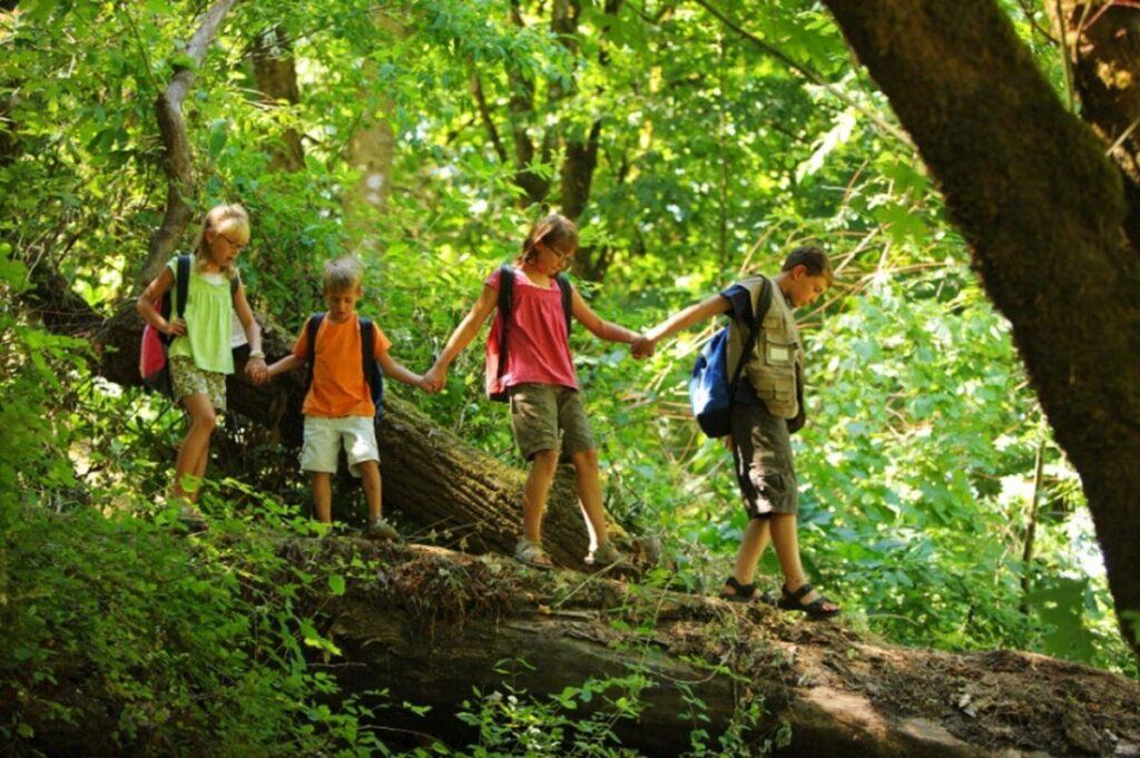 У Вінниці дітей і підлітків ВПО запрошують на безкоштовний літній табір