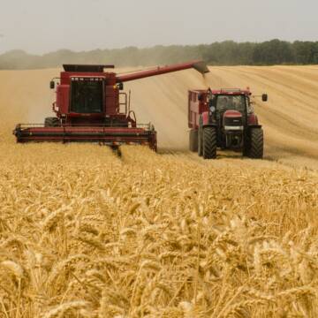 harvester-3562476_1280 Аграрії Вінниччини зібрали перші 125 тисяч тонн зерна нового врожаю