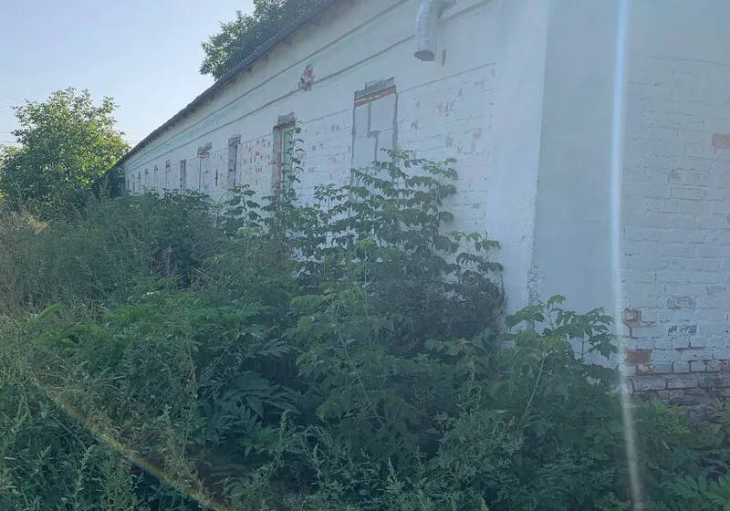 У Гавришівці оголосили аукціон з приватизації нежитлової будівлі
