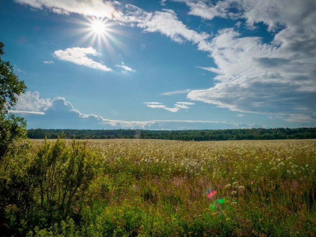 22 липня на Вінниччині очікують мінливу хмарність і короткочасні дощі
