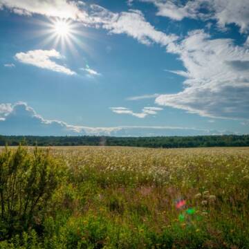 22 липня на Вінниччині очікують мінливу хмарність і короткочасні дощі