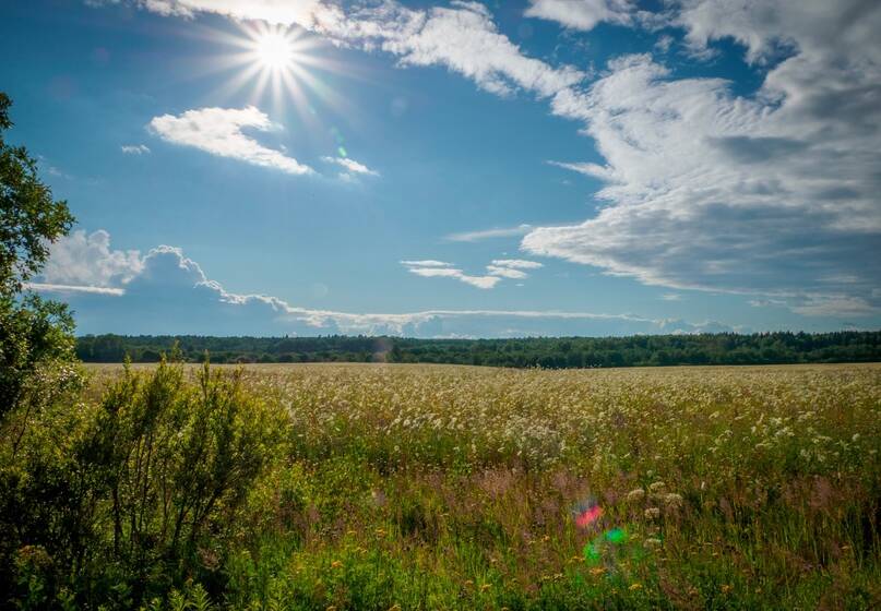 minlyva-hmarnist 22 липня на Вінниччині очікують мінливу хмарність і короткочасні дощі