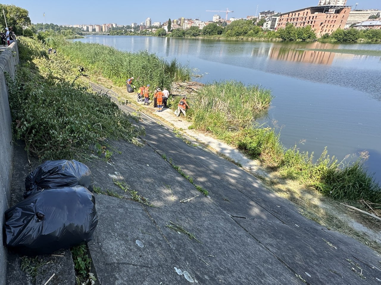 Замість чагарників — вільний прохід: у Вінниці навели лад на набережній