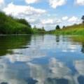 Якушинецькій громаді повернули 3 гектари земель водного фонду, незаконно відданих у приватну власність