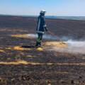 На Вінниччині згоріло 1,7 га пшениці просто на полі через людську недбалість