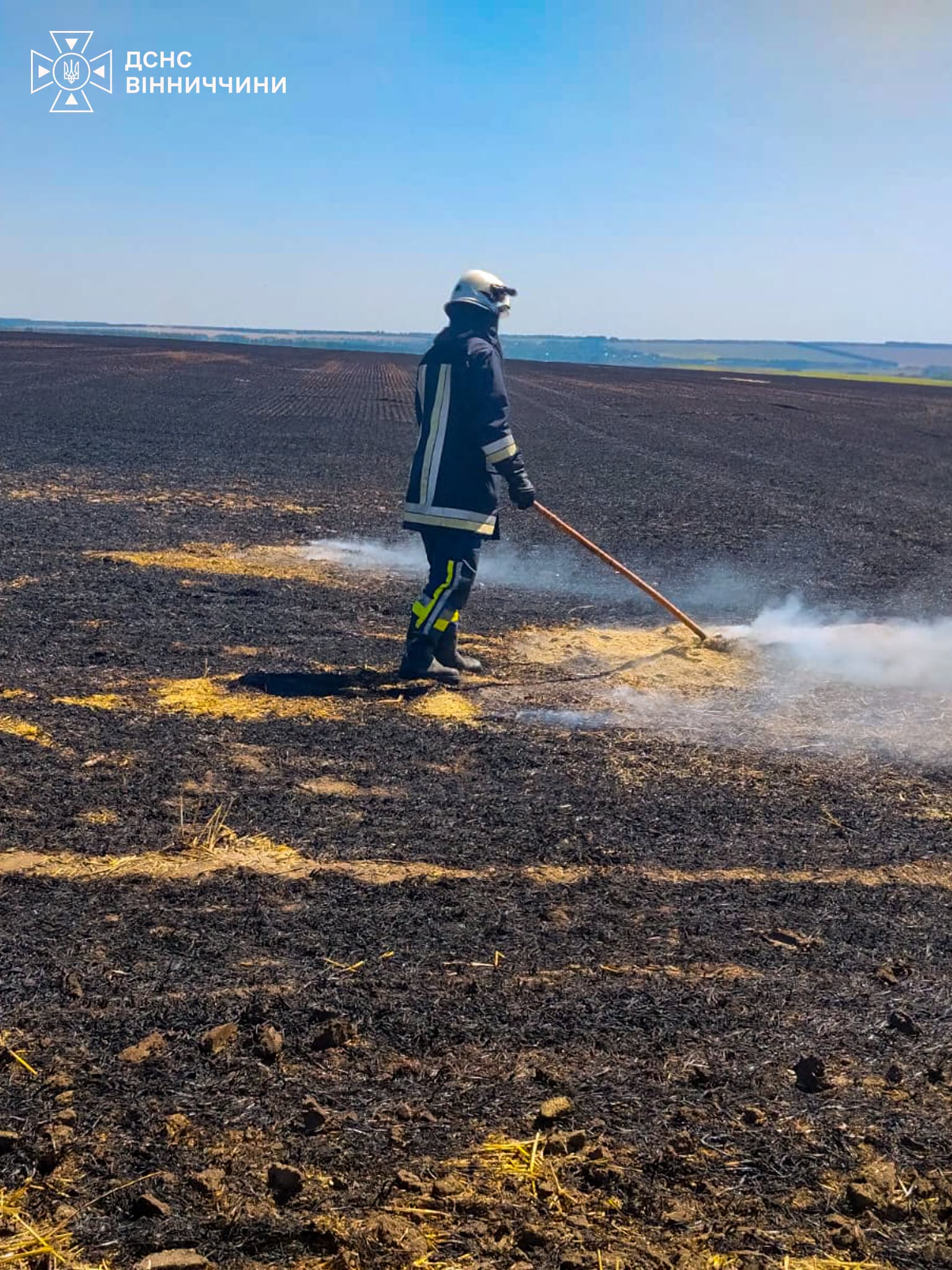 На Вінниччині згоріло 1,7 га пшениці просто на полі через людську недбалість