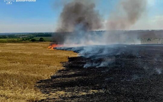 Через людську недбалість на Вінниччині вигоріло понад 10 гектарів землі
