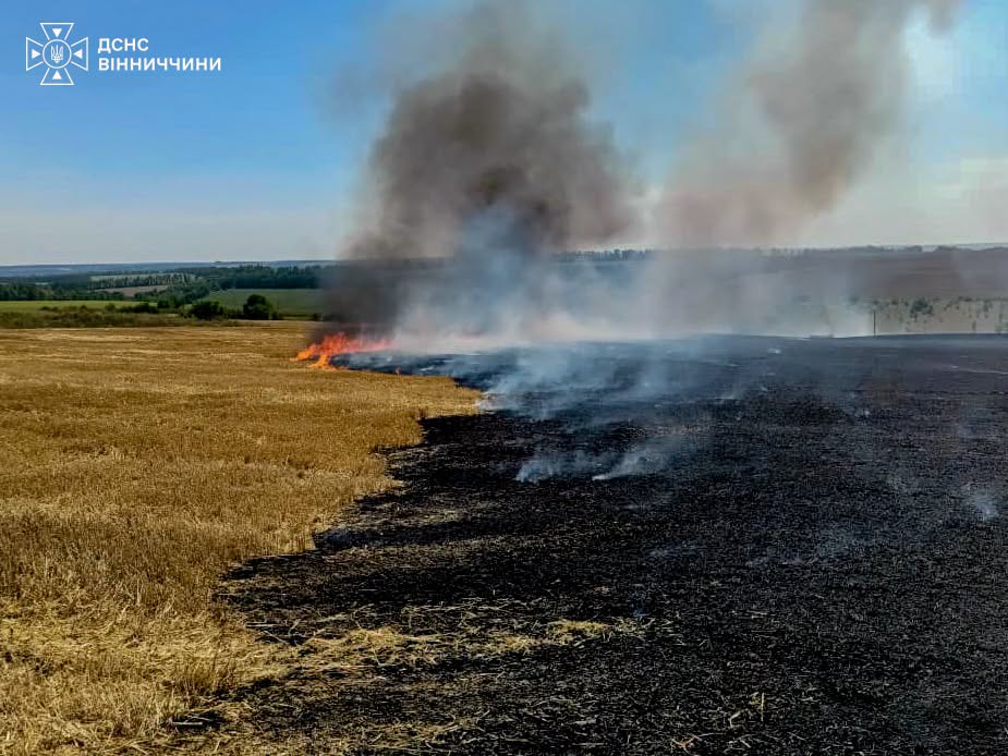 Через людську недбалість на Вінниччині вигоріло понад 10 гектарів землі