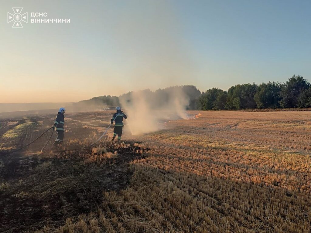 У Тростянці через дитячі пустощі із вогнем ледь не згоріла присадибна ділянка: ситуація з пожежами в області