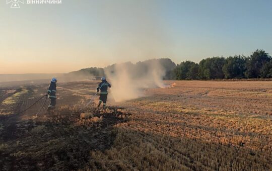 У Тростянці через дитячі пустощі із вогнем ледь не згоріла присадибна ділянка: ситуація з пожежами в області