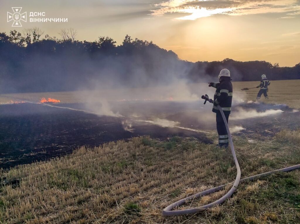 Понад 8 га у вогні за добу: на Вінниччині палали сухостої, через недопалок згоріла споруда