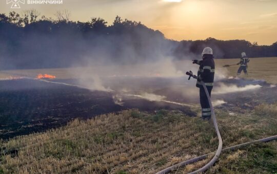 Понад 8 га у вогні за добу: на Вінниччині палали сухостої, через недопалок згоріла споруда