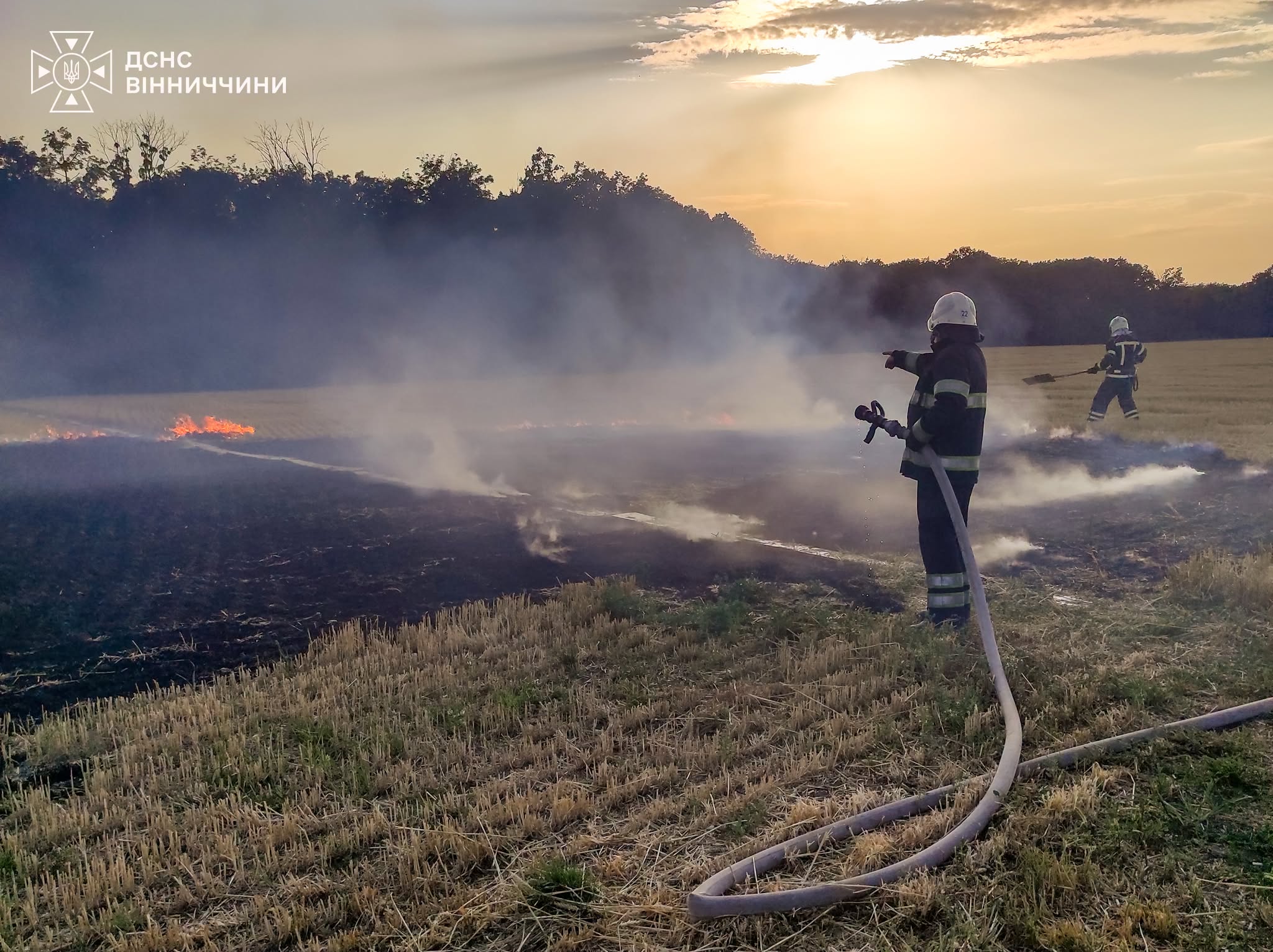 Понад 8 га у вогні за добу: на Вінниччині палали сухостої, через недопалок згоріла споруда