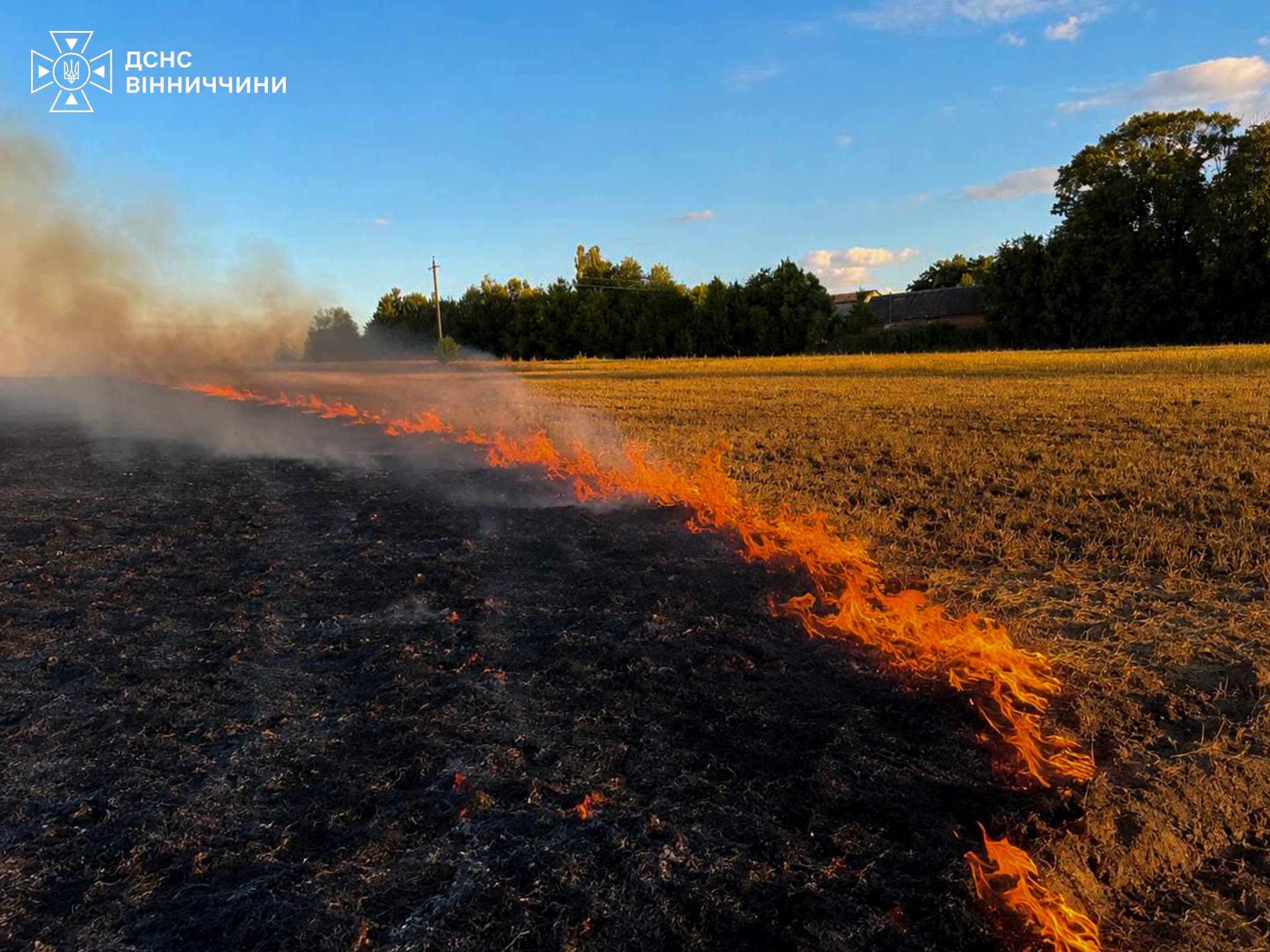 На Вінниччині через пожежу в полі згорів автомобіль