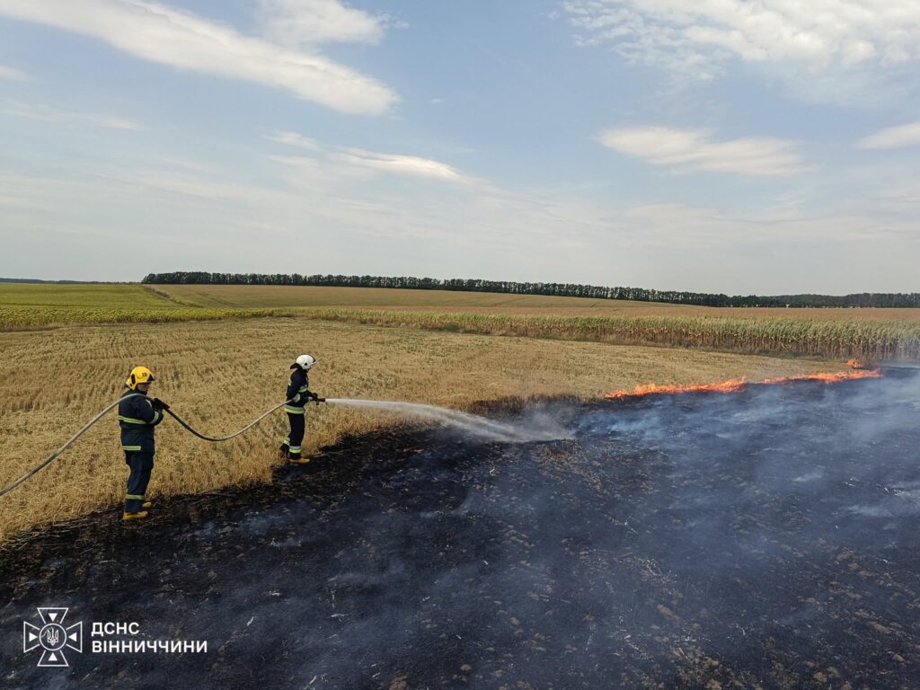 На Вінниччині за добу ліквідували 15 пожеж в екосистемах