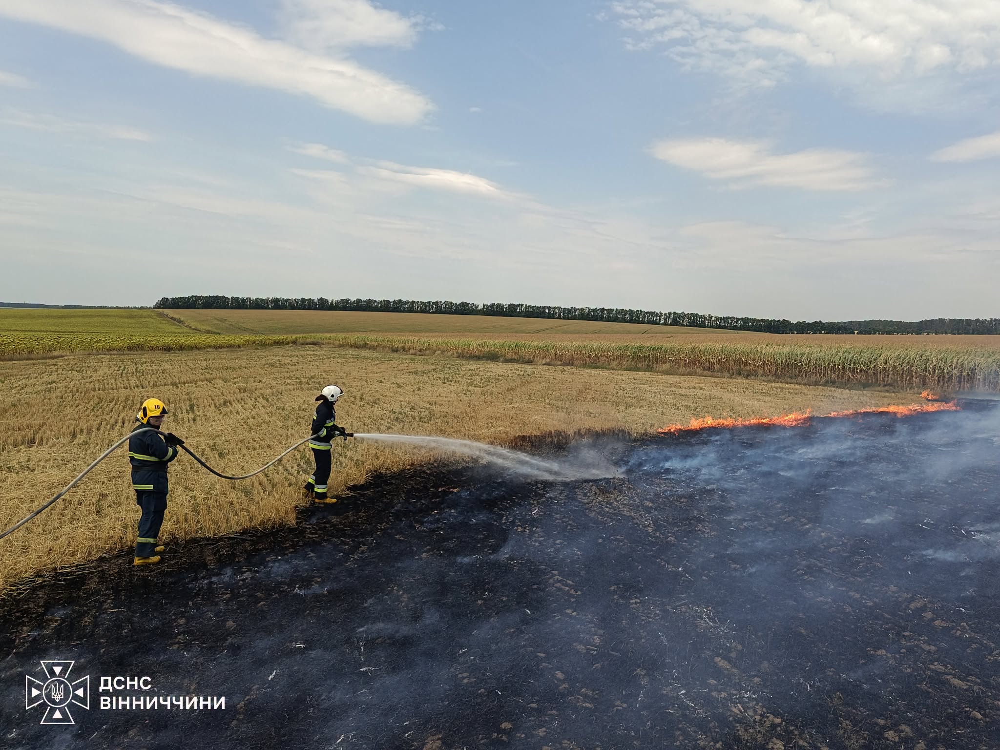 На Вінниччині за добу ліквідували 15 пожеж в екосистемах