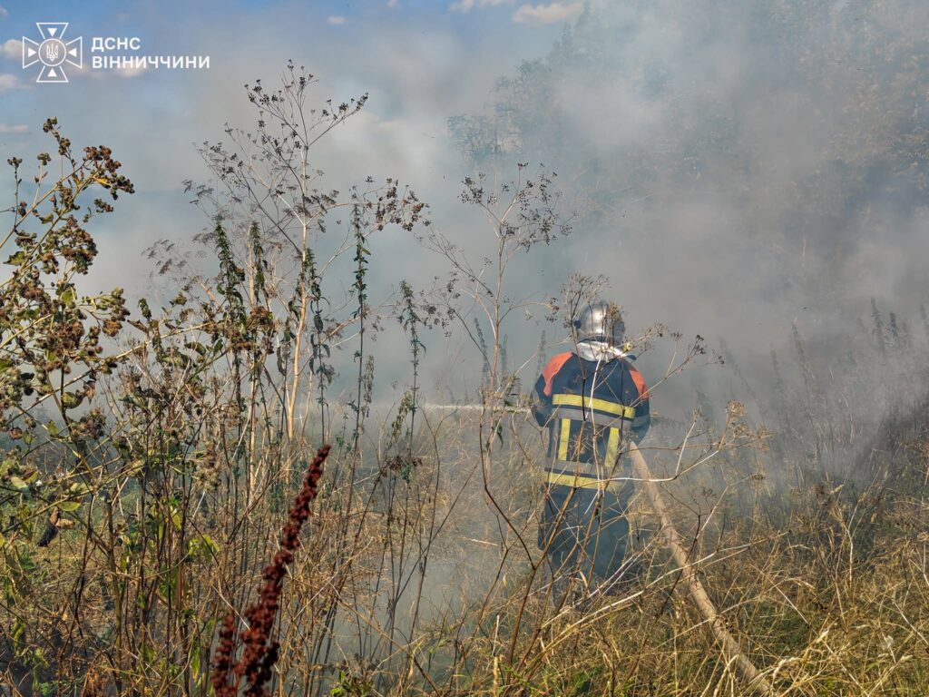 Понад 5 гектарів землі випалено: на Вінниччині за добу зафіксували 15 пожеж в екосистемах