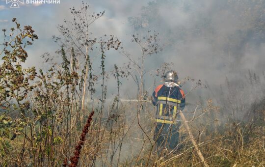 Понад 5 гектарів землі випалено: на Вінниччині за добу зафіксували 15 пожеж в екосистемах