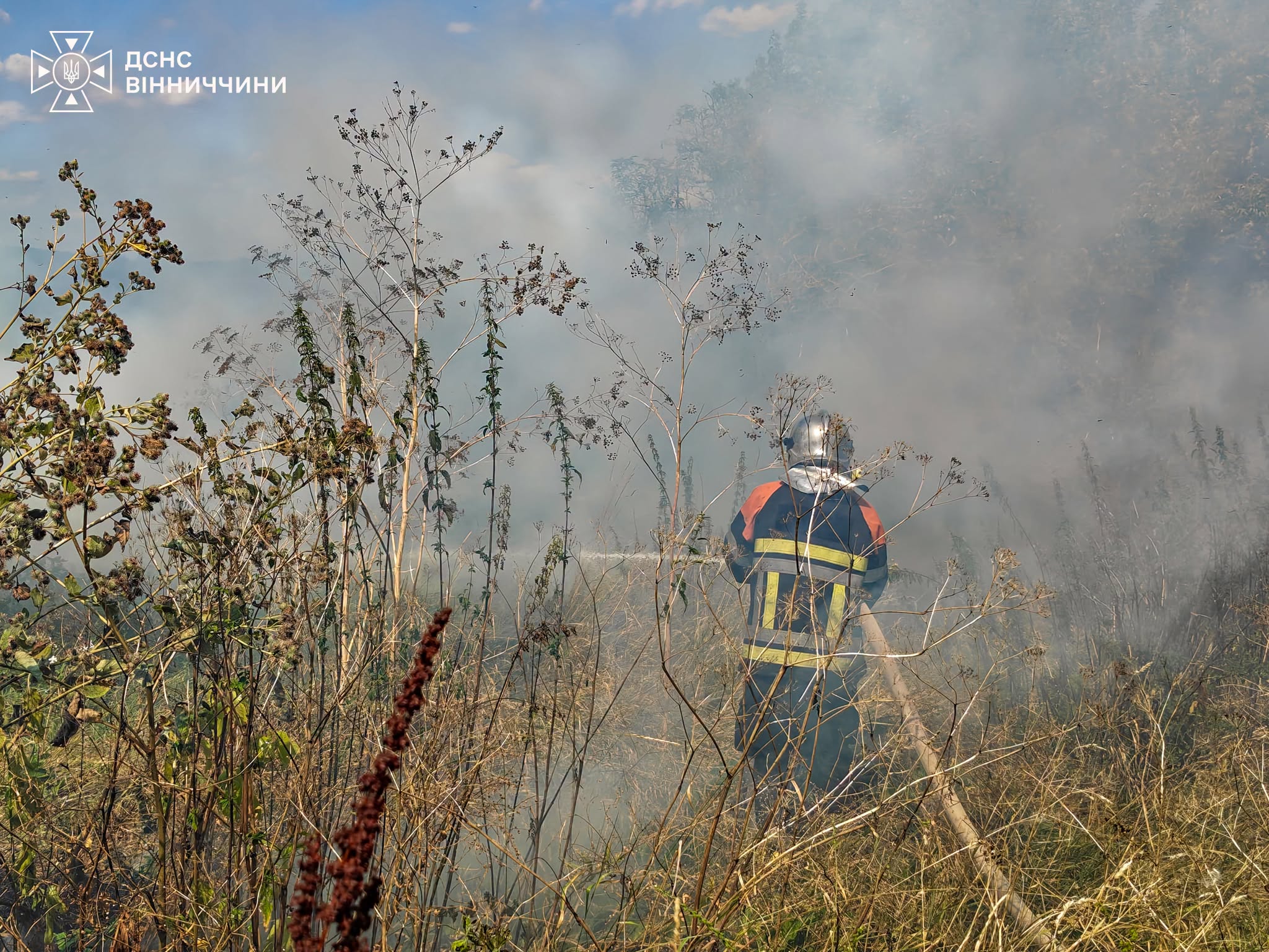 Понад 5 гектарів землі випалено: на Вінниччині за добу зафіксували 15 пожеж в екосистемах