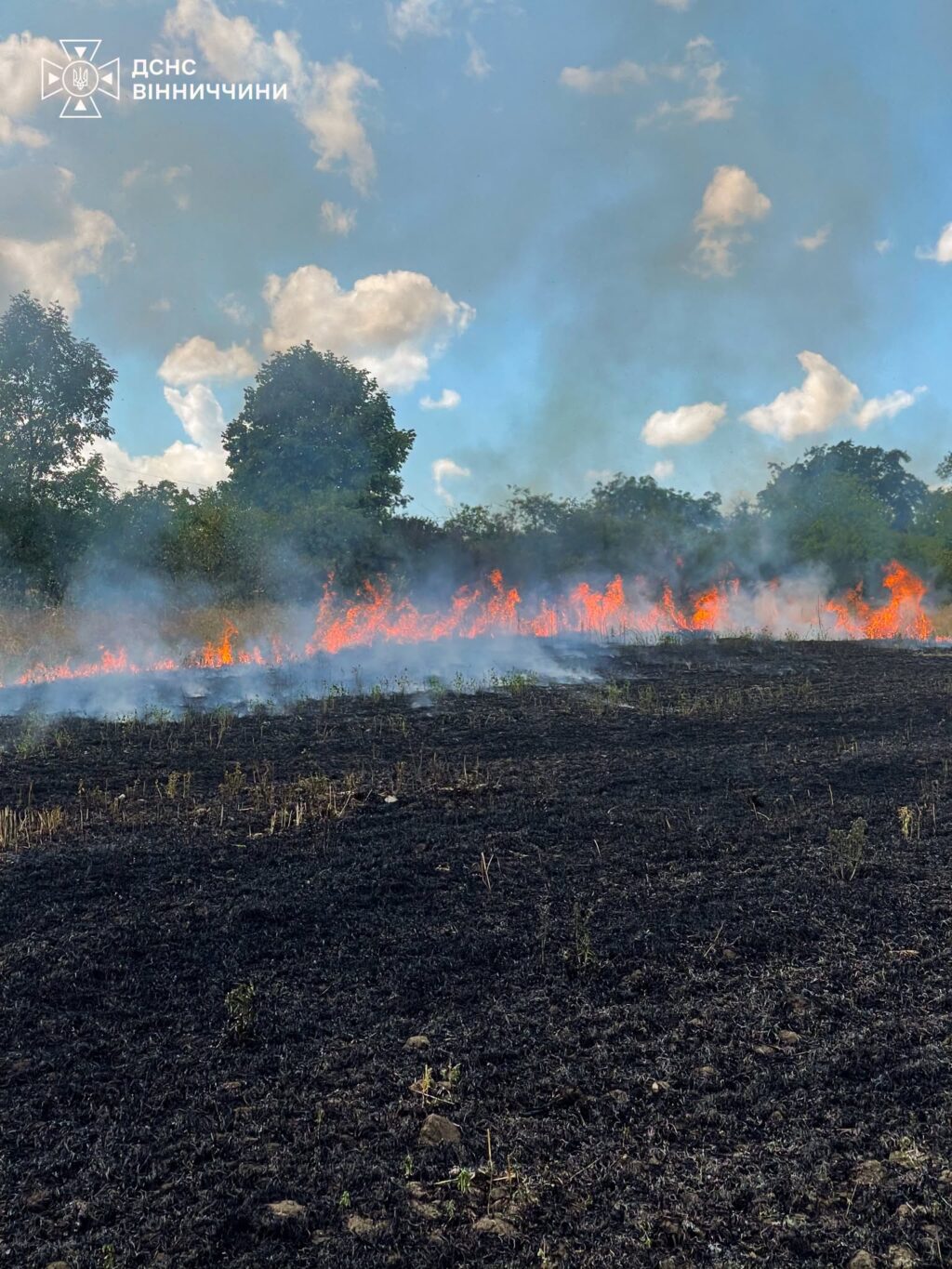 23 пожежі та понад 15 гектарів спаленої землі за добу: на Вінниччині масово нищать екосистеми
