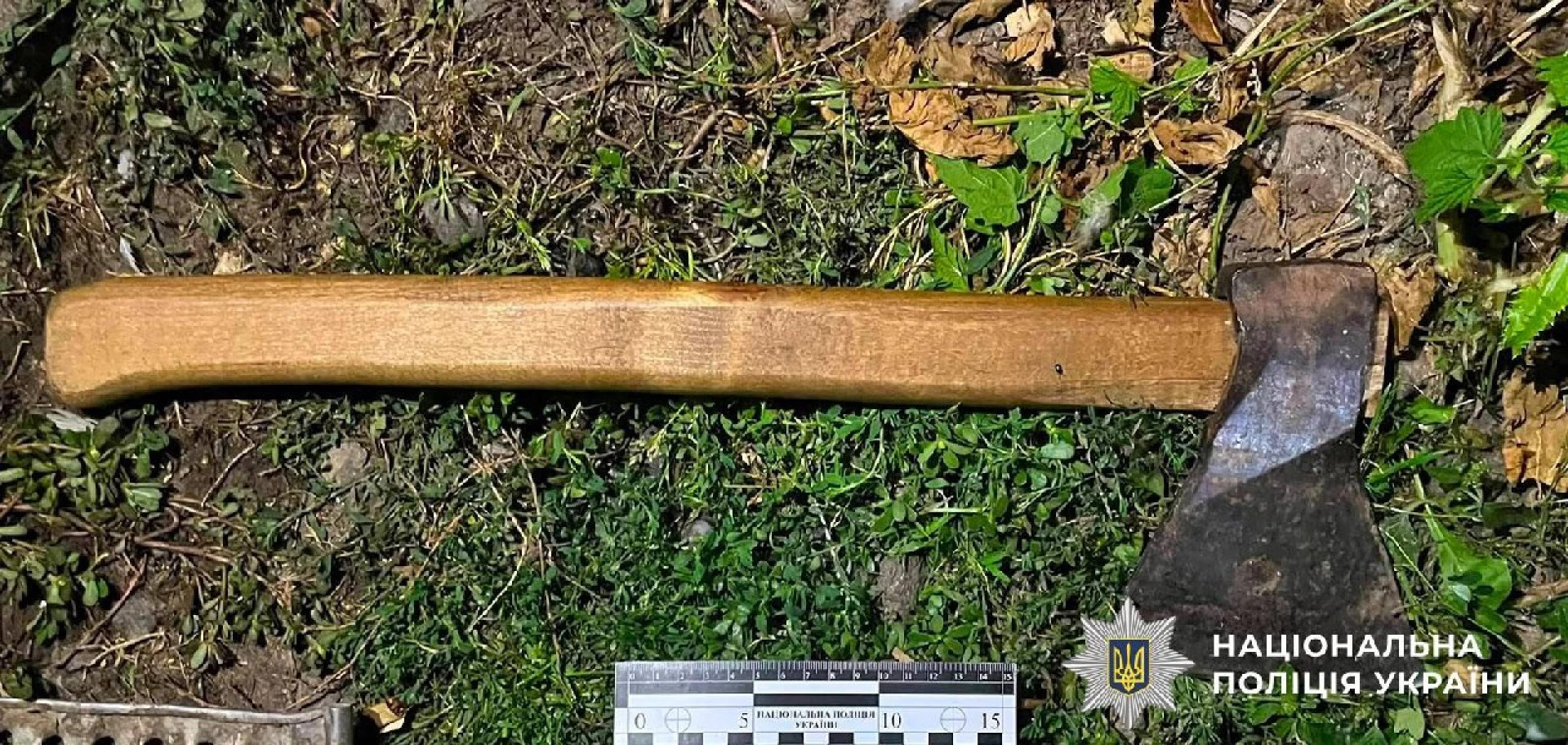 На Вінниччині військовий у СЗЧ знущався з дітей і погрожував поліцейським сокирою