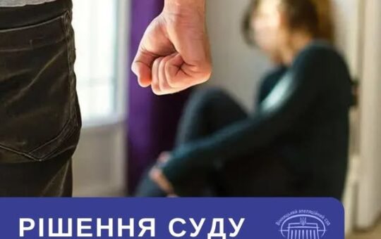 Ображав, погрожував та бив дружину: у Вінниці чоловіка відправили до в’язниці