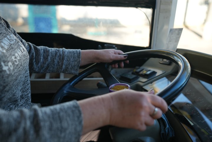 Жінки з Вінниці можуть безкоштовно опанувати професію водійки та отримати роботу
