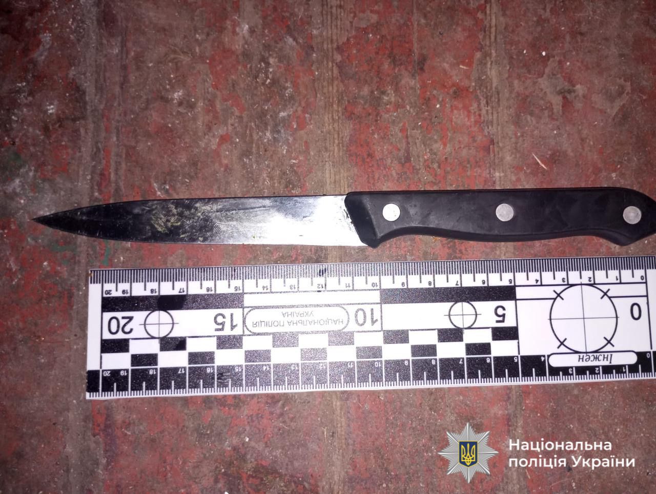 Завдала ножового удару в спину доньці: на Вінниччині судитимуть матір за замах на вбивство 17-річної дівчини