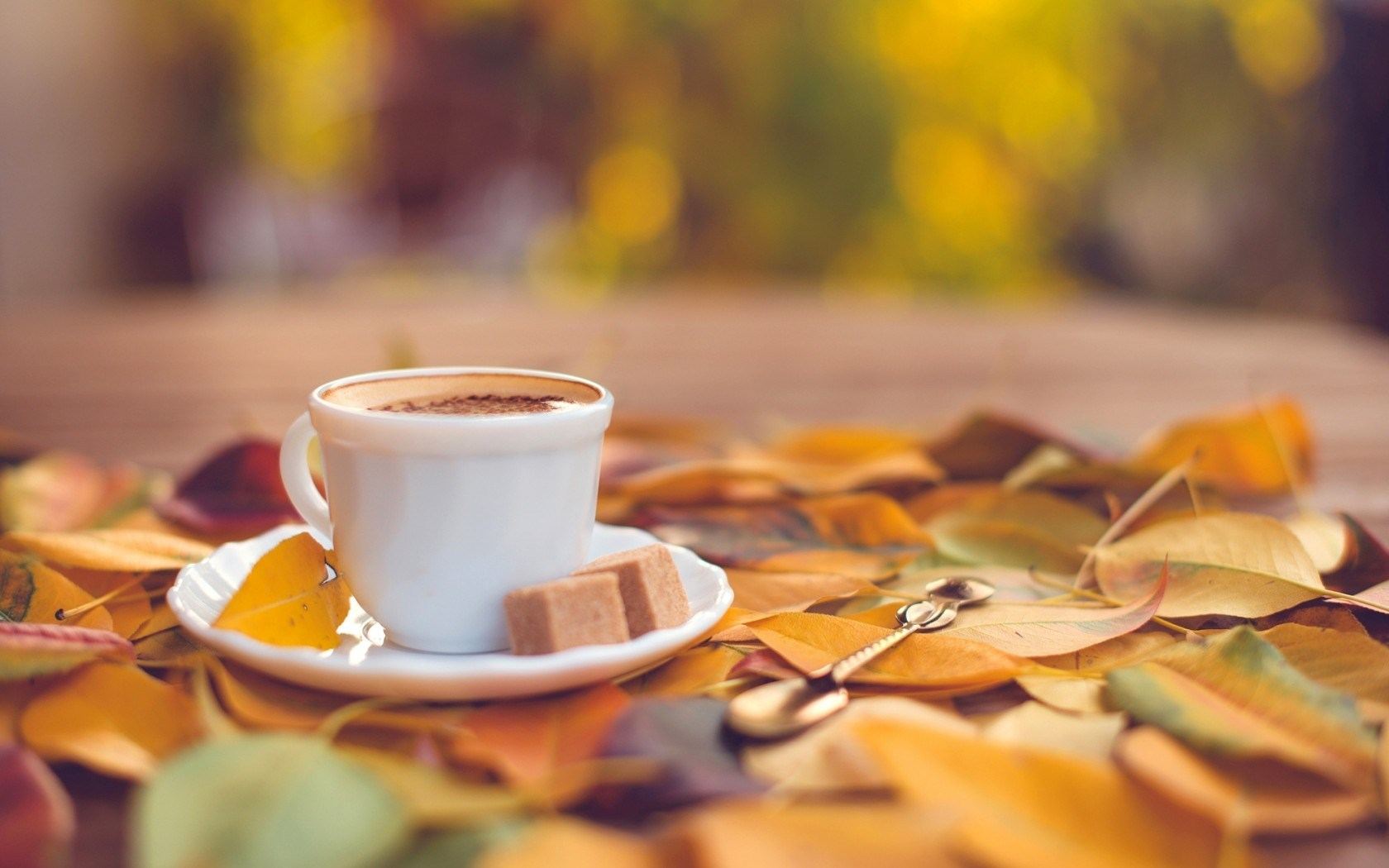 6780449-coffee-cup-pictures