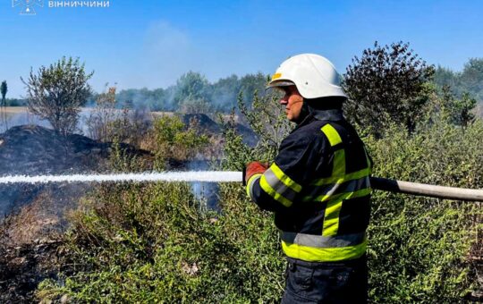 Девять пожеж за добу: на Вінниччині рятувальники ліквідовували загоряння на відкритих територіях та в оселях