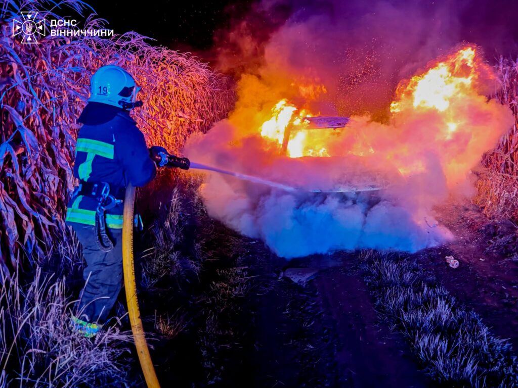 на Вінниччині сталося 8 пожеж