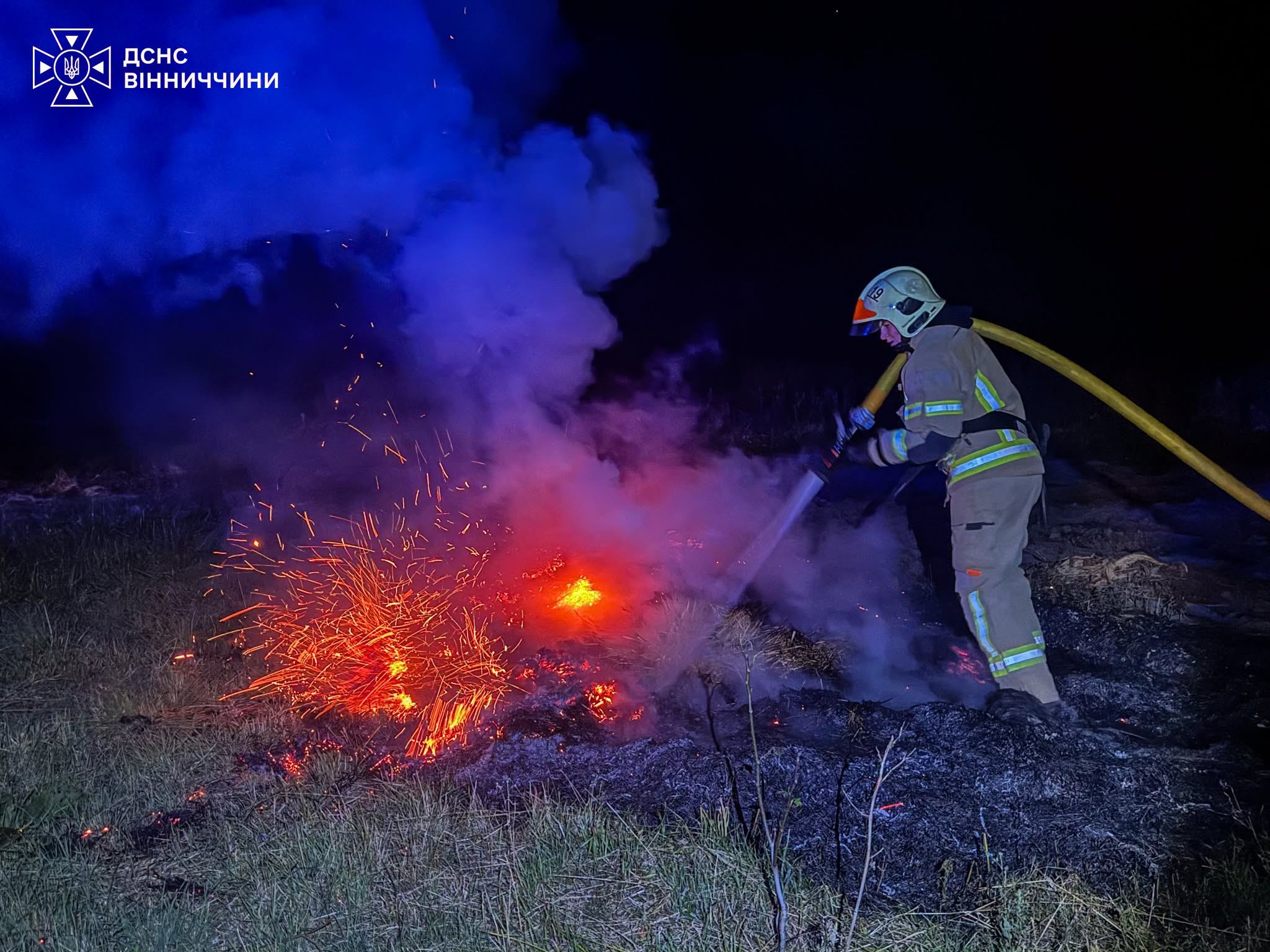 Недопалки знищують гектари екосистем на Вінниччині