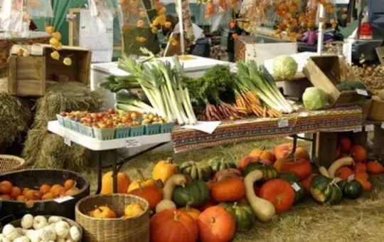 Осінні ярмарки у Вінниці: де і коли купувати фермерські продукти та овочі