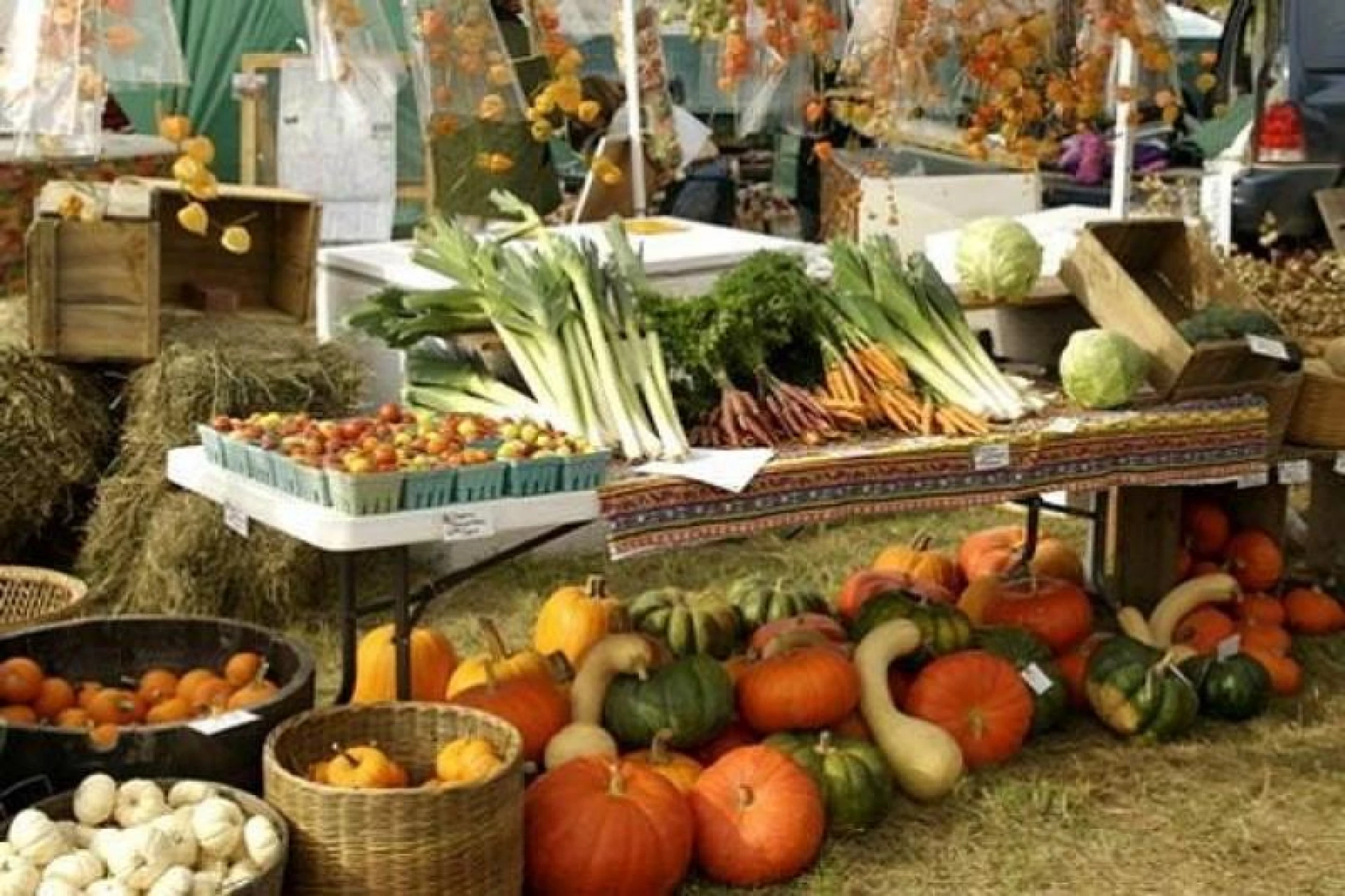 Осінні ярмарки у Вінниці: де і коли купувати фермерські продукти та овочі