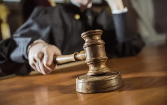 за державну зраду жінку 15 років тюрми