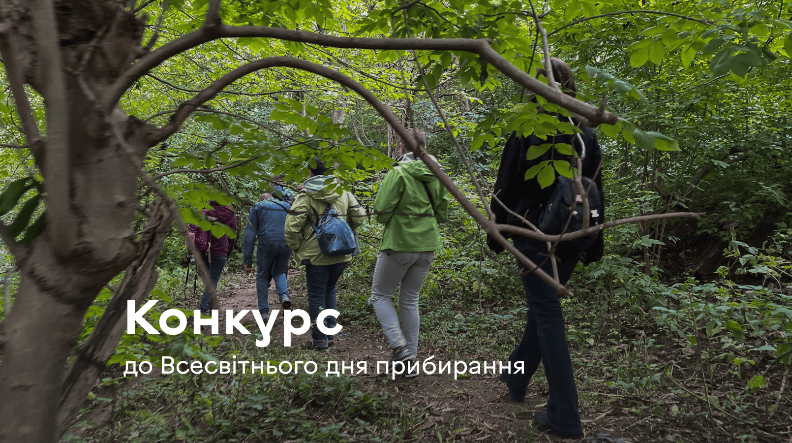 Зображення на сайт плогінг