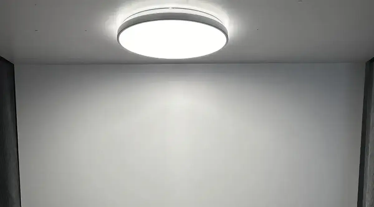 10980-svitilnik-nowodvorski-agnes-round-led-pro-white-32w-4000k-ip44-cn