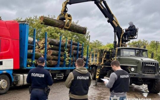 Рубали дуби та ясени на мільйони: чотирьом лісівникам на Вінниччині оголосили підозри